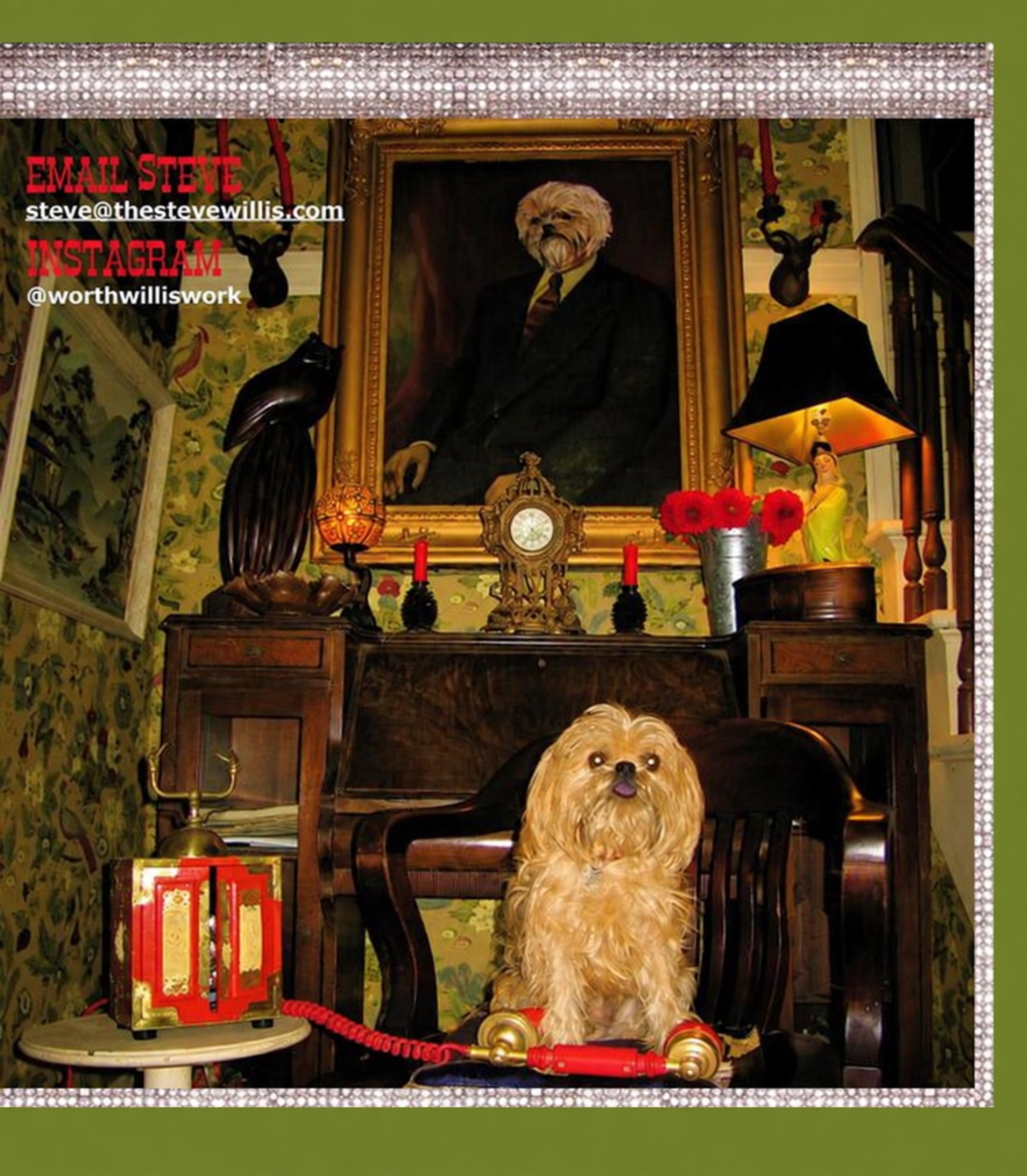 Steve Willis contact artwork: a dog at a red telephone in an ornate room. Email steve@thestevewillis.com. Instagram @worthwilliswork.